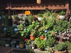 -龙姐私房菜(和顺古镇店)