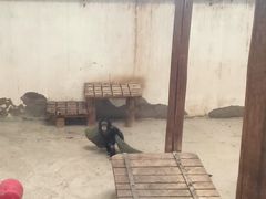 -太原动物园