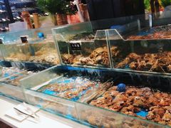 -SEA西雅图海鲜自助餐厅(正义店)