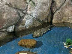 -泉州海丝野生动物世界