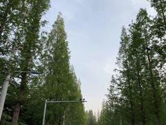 -大连理工大学(凌水校区)