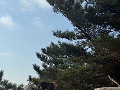 -崂山巨峰游览区