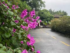 -广州市紫泥堂文化创意园景区
