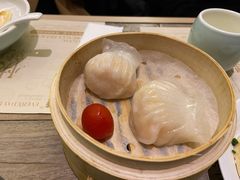 -茶港·点心·啫啫煲(范湖万达广场店)