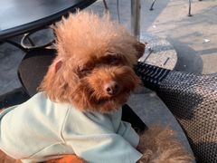 -佳雯宠物医院(金华南路分院)