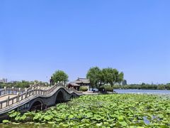 -济南大明湖景区