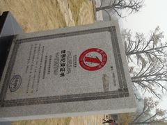 -千年银杏谷文化旅游区