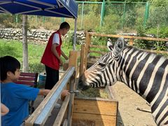 -水上乐园·欢乐世界