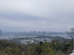 -茶颜悦色(岳麓山顶店)