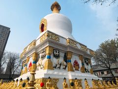 -护国法轮寺