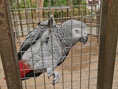 -南宫五洲植物乐园