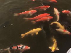 -厦门理工学院(集美校区)