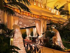 -拉斯维加斯永利酒店