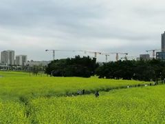 -光明小镇欢乐田园