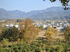 -塔川景区