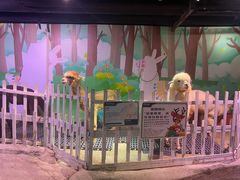 -正佳雨林生态植物园