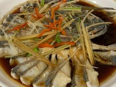 清蒸狗鱼-煲来饱去冷水鱼