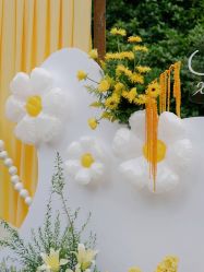 -明典婚礼策划·婚车租赁·婚纱摄影