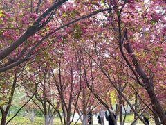 -元大都城垣遗址公园