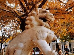 -北京石刻艺术博物馆(五塔寺)