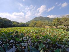 -八卦田遗址公园
