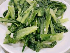 时令青菜-谭家菜农夫山庄