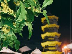 -南翔古镇