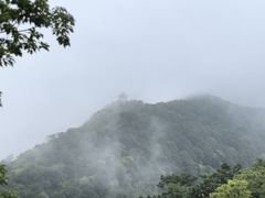 -梧桐山风景名胜区