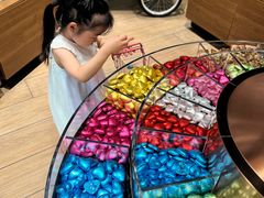 -Laderach 莱德拉(上海环贸iapm店)