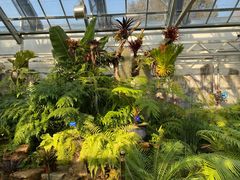 -国家植物园南园