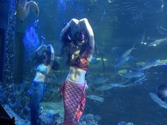 -嘉兴海底世界