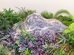 -人民公园(罗湖区)