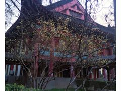 -金良酸菜鱼(宁海路总店)