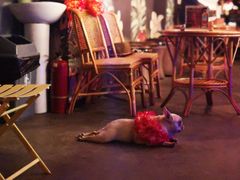-The Tiki Bungalow提基小木屋酒吧