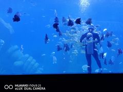 -水上乐园·欢乐世界