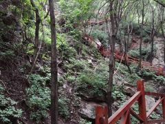 -大岭沟猕猴桃谷风景区