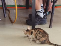 -宁大姐第一家脆皮狗肉馆(江滨路店)