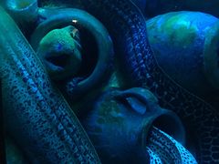 -太平洋海底世界