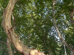 -江苏省美术馆(长江路新馆)