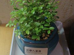 -竹里馆 ·茶食(奥体店)