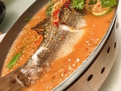 -佬肥猫(七宝宝龙店)