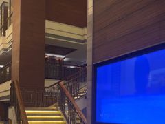 -浅深(厦门店)