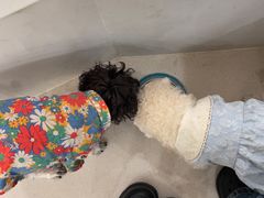 -共舞时光猫咖·狗咖(新街口店)