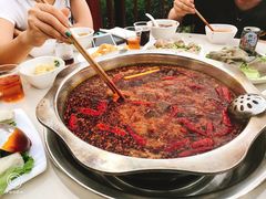 -枇杷园食为鲜火锅(南山店)