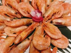 -清真军邺·金富苑肥牛(石坡街旗舰店)