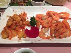 -楚灶王(徐东店)