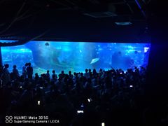 -江和美海洋公园