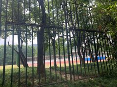 操场-浙江大学(玉泉校区)