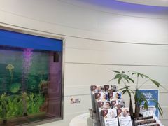 -雅悦齿科(顾村公园店)