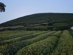 -听风阁农家私房菜茶楼(龙坞店)